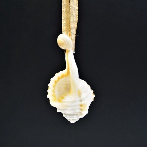 Vintage Conch Seashell Christmas Ornament Ocean Nature Nautical - Picture 7 of 8